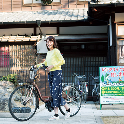 Rental bicycle