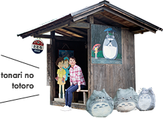 tonari no totoro